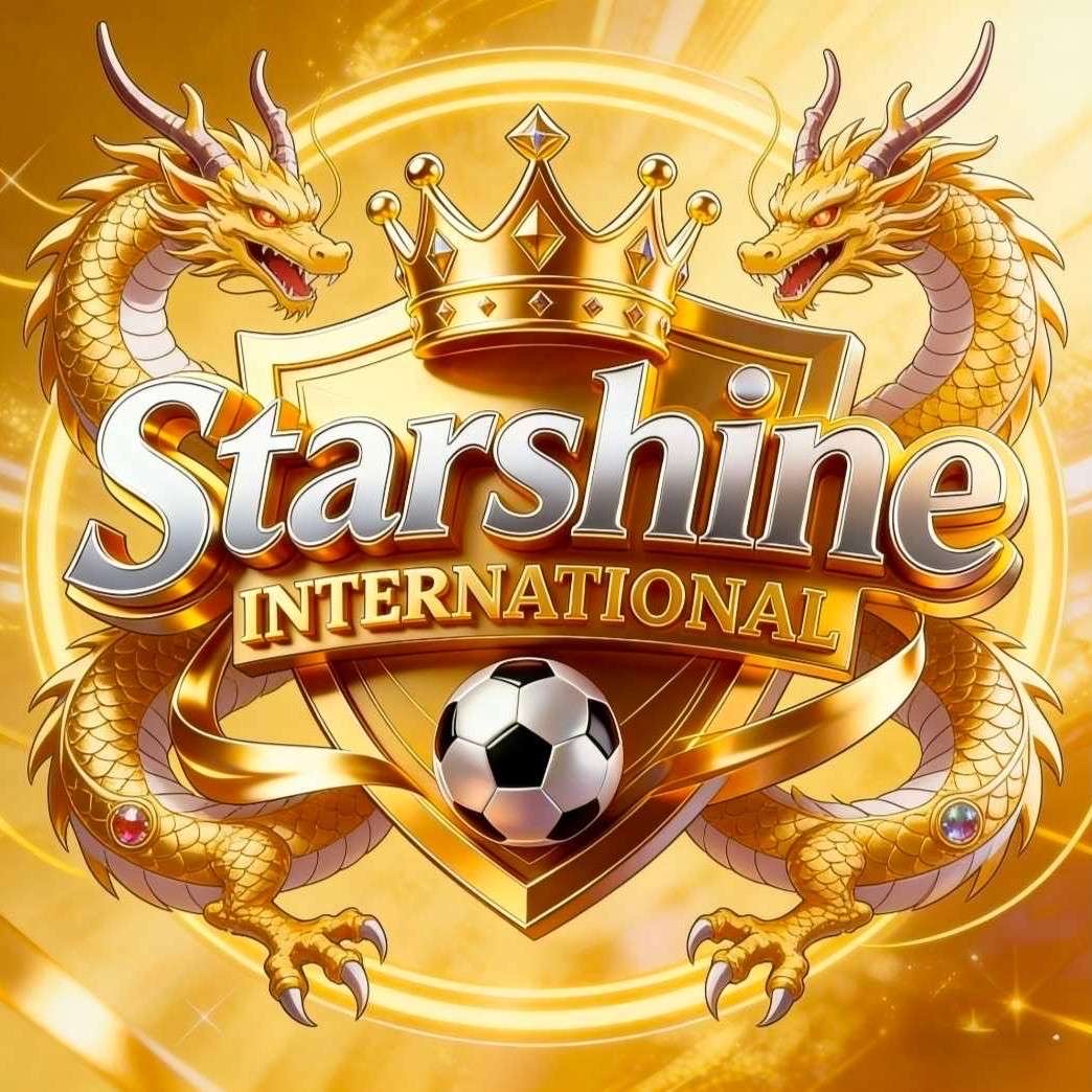 星耀国际